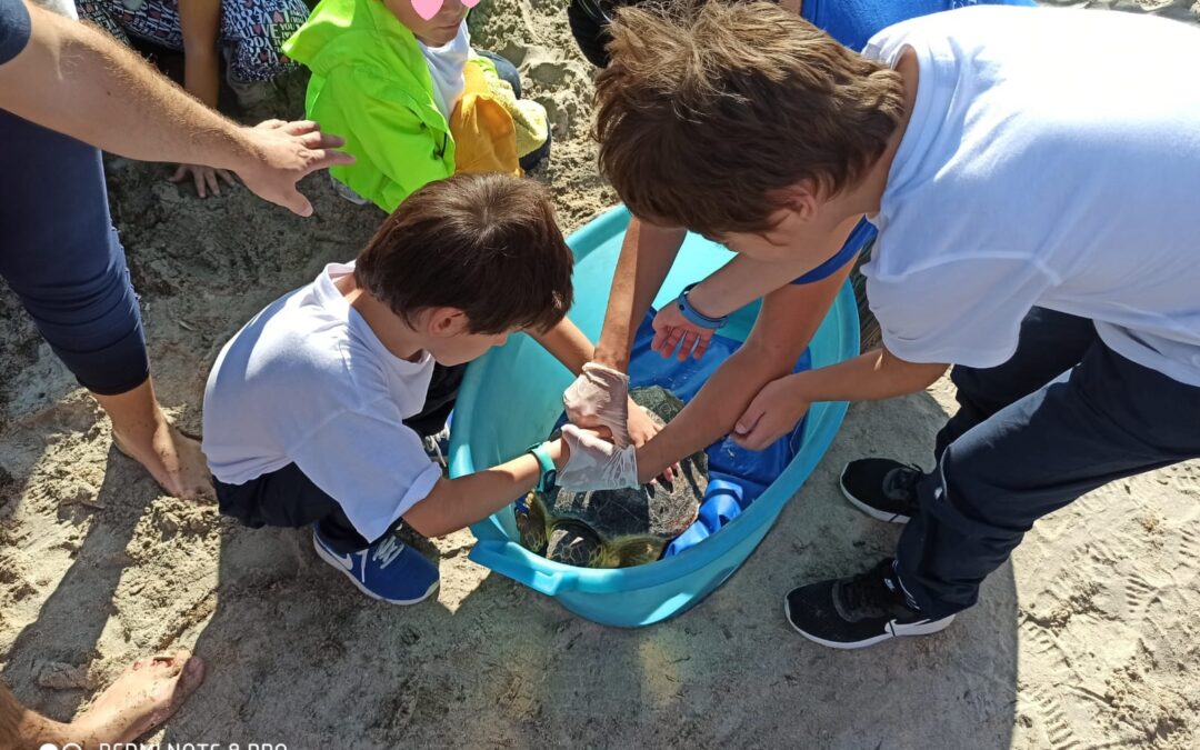 Progetto “Infor..mare”